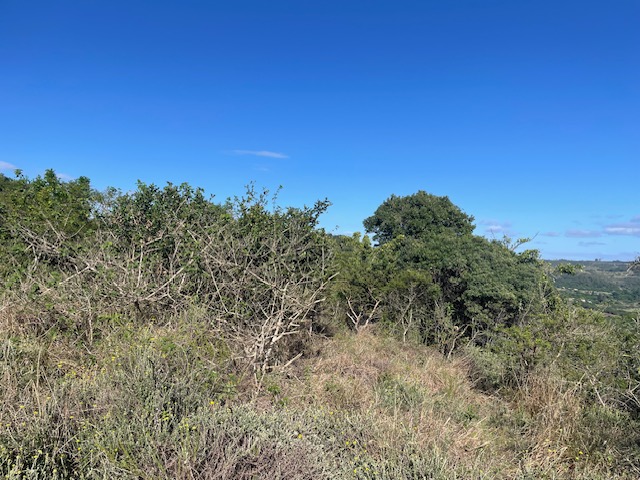 3 Bedroom Property for Sale in Summerpride Eastern Cape